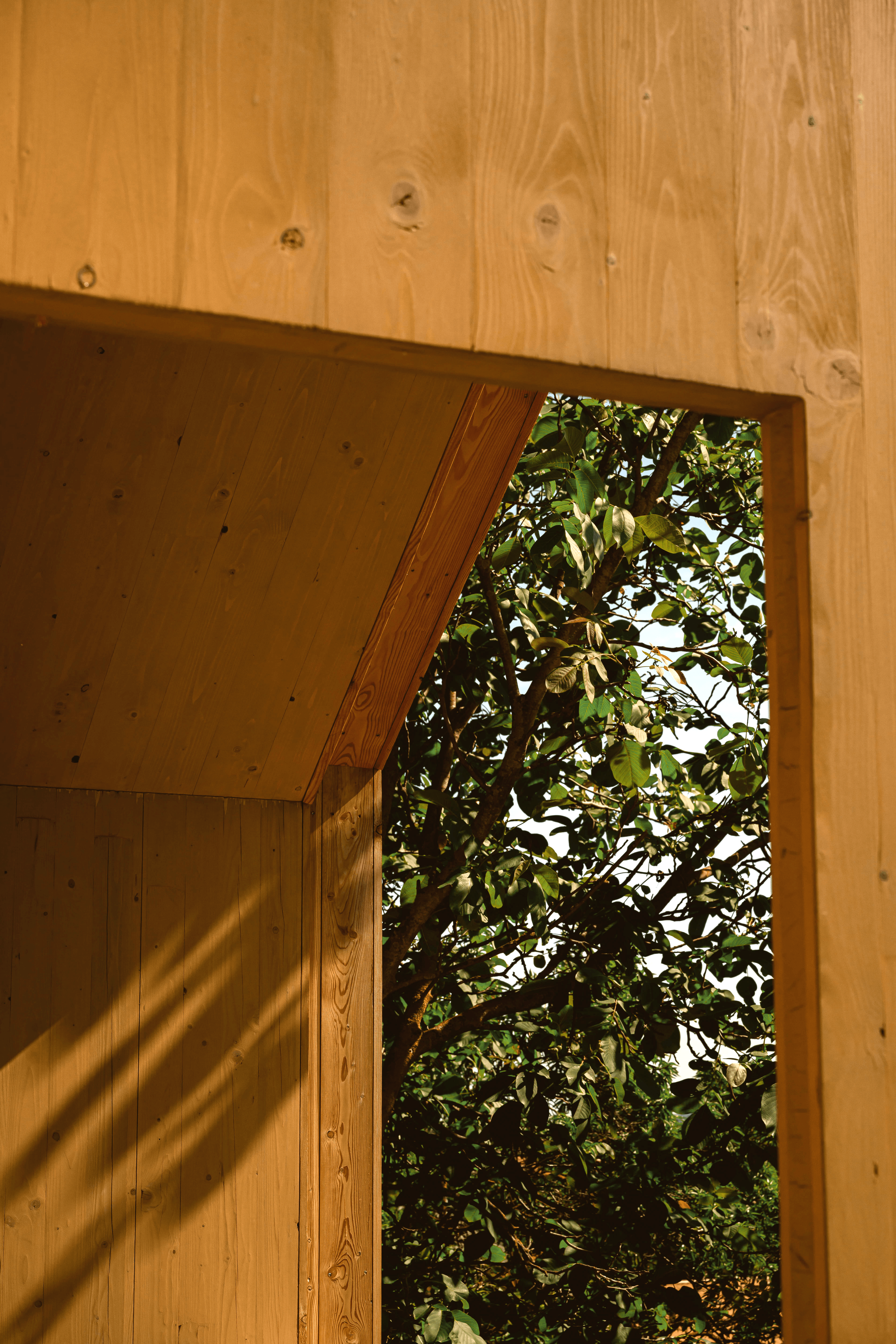 A képen egy napsütéses, fa által beárnyékolt faszerkezetű ház részlete látszódik